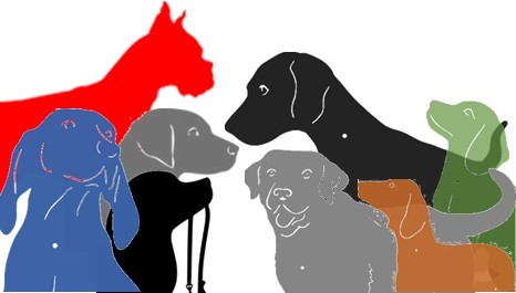 voice of dog in english