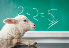 Misinformation dynamics shown by image of sheep suggests following with erroneous equation.